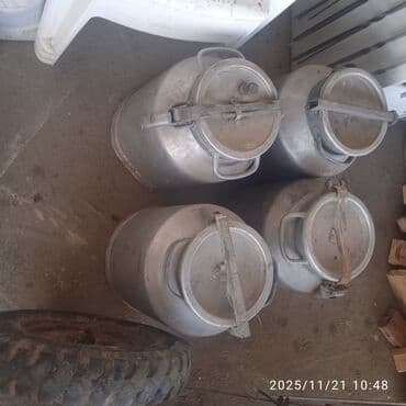 щетка для уборки: Алюминиевые молочные фляги с крышками-зажимами - Количество: 4 шт. - — 7