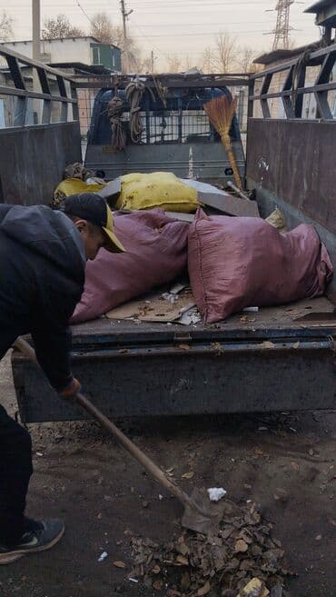 купить саженцы крупной черной смородины: Заказать Хендай портер, Вывоз швейных отходов — 3