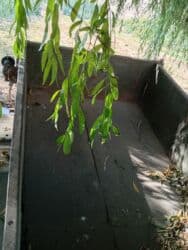 шины и диск: Прицеп, Бортовой — 7