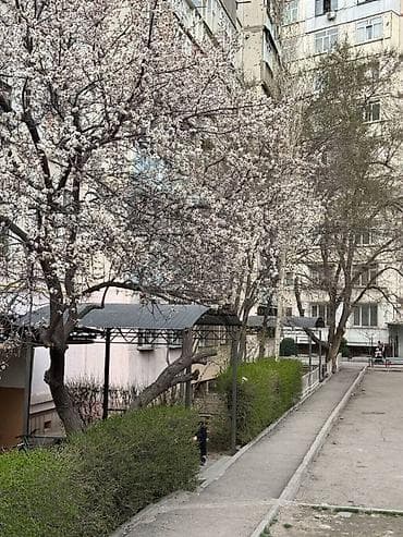 flat osh: 3 комнаты, 70 м², 106 серия, 8 этаж, Евроремонт — 6