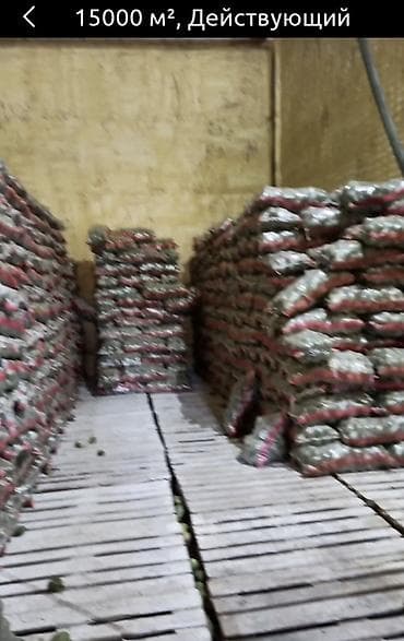 работа в бишкеке швейный цех: Сдаю ; Склады и Овощехранилище с секциями, можно под склад ( на любой — 4