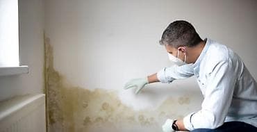 Дезинфекция, дезинсекция: Дезинфекция, дезинсекция, | Вирусы, микробы, | Квартиры — 2