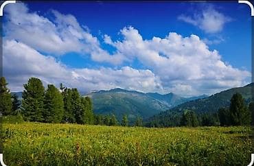 Ысык кол Аксуу районунун ак суу айылынан 5 соток жер шашылыш түрдө