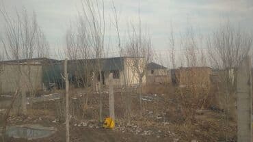 куплю дом чон арык: Времянка, 50 м², 2 комнаты, Собственник — 3