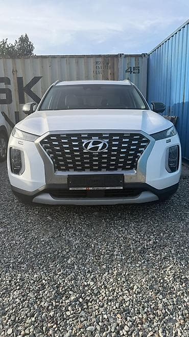 семейный авто: Hyundai Palisade: 2019 г., 2.2 л, Автомат, Дизель, Кроссовер — 1