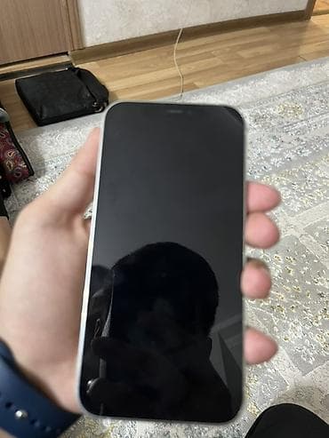 IPhone 12 Pro, Б/у, Серебристый
