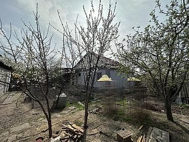 горид ош: Угловой участок в начале с.Пригородного, можно поделить на два — 8