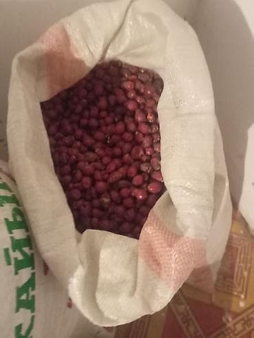 Сухой шиповник, цельные ягоды в мешках - Натуральные плоды шиповника