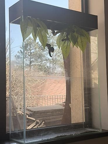 Цену предлагайте Стеклянный террариум/палюдариум вертикального типа с