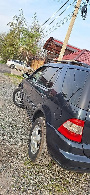 cdi: Mercedes-Benz M-Class: 2002 г., 2.7 л, Автомат, Дизель, Внедорожник — 7