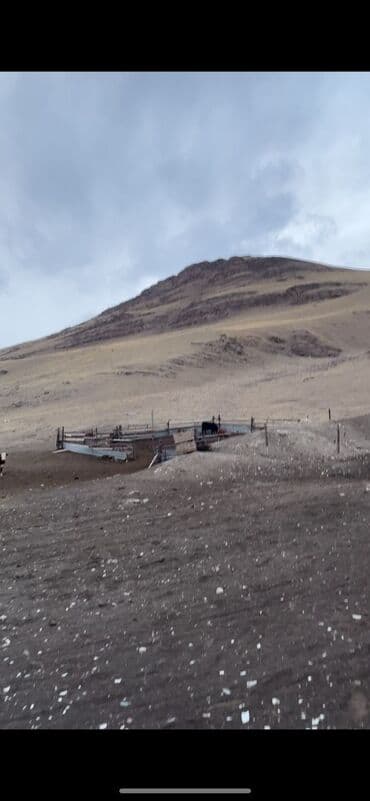 двухкомнатная квартира в бишкеке в аренду: Сарай сатылат ысыккол, сарыджаз . 30 соток Кызыл китеп . Жайыт — 3