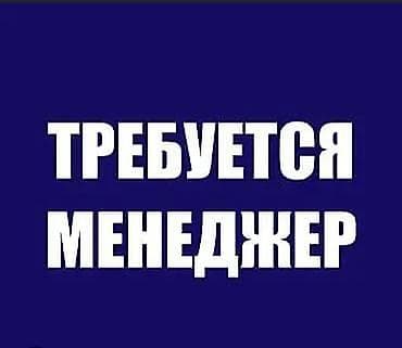 Офис-менеджер. Вефа ТЦ