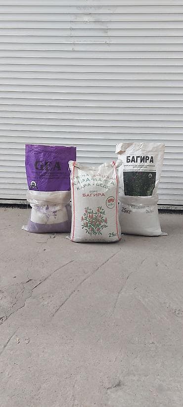 пшеница буудай: Семена кормовых растений: Люцерна — 2