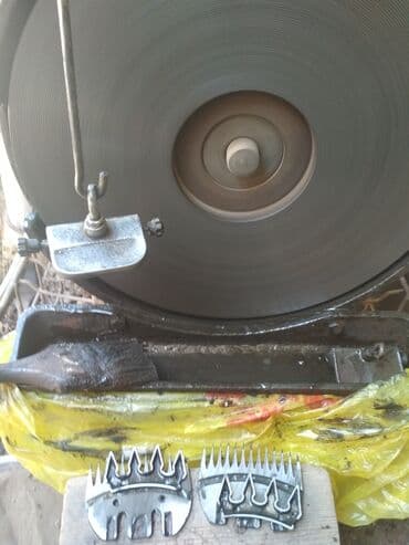 Иттер: Кой кыркан машинка заточка стрегальных пар,кайчы курчутабыз — 3