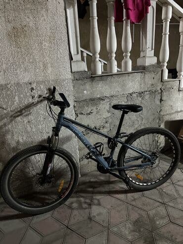 Детские велосипеды: Горный велосипед, Galaxy, Алюминий — 2