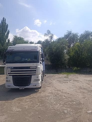 daf тигач: Тягач, DAF, 2013 г., Шторный — 3