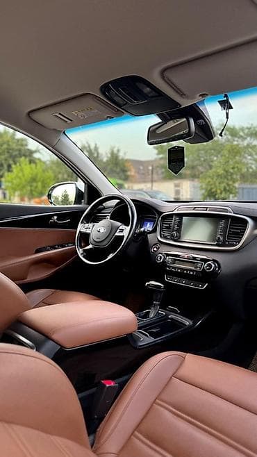 сажевый: Kia Sorento: 2019 г., 2 л, Автомат, Дизель, Кроссовер — 8