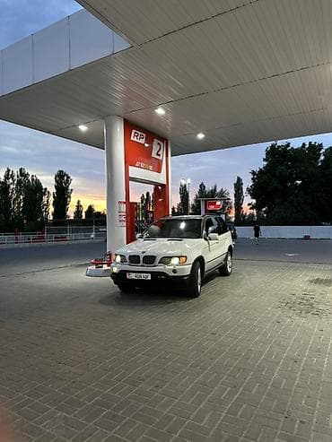 BMW X5: 2001 г., 4.4 л, Автомат, Бензин, Кроссовер — 2