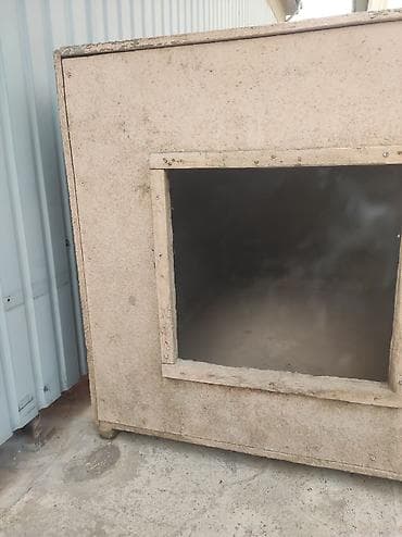 alabai dog: Собака даром: Алабай, 1 месяц, Самец, С родословной — 2