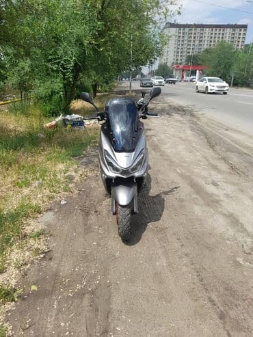 дождевик для скутер: Скутер WANGYA (надпись на щитке), городской максискутер-класс — 9