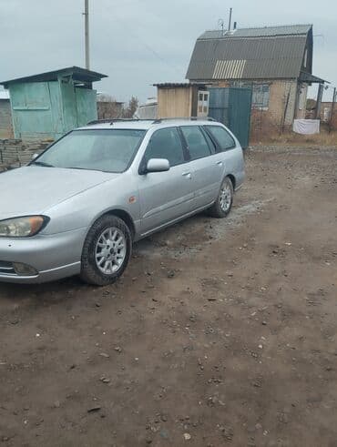 купить зимние шины на 14 бу: Nissan Primera: 2000 г., 1.8 л, Механика, Бензиновая, Универсал — 6