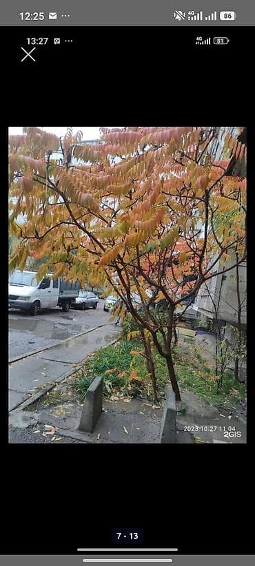 106: 1 комната, 39 м², 106 серия, 2 этаж, Готовая ПСО (под самоотделку) — 6