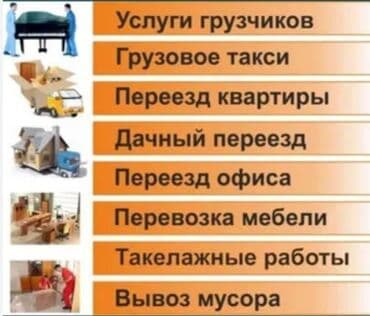 пиджак мурской: Грузчик. 3-5 лет опыта — 1