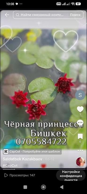 Үй жана бакча: Водная лилия (нимфея) сорта «Чёрная принцесса» — декоративное водное — 1