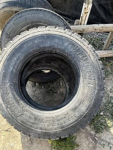 mtz 80: Шины 225 / 80 / R 17.5, Грузовики/Автобусы, Bridgestone — 1