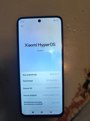 Redmi, Redmi 13, 256 ГБ