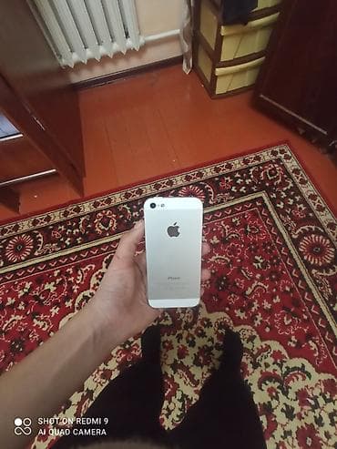 IPhone 5, Серебристый