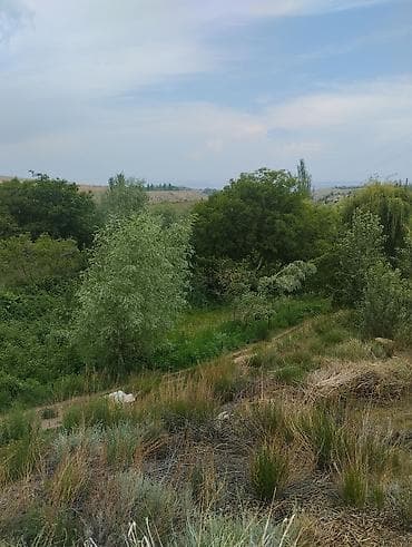 60 соток, Бизнес үчүн, Кызыл китеп, Техпаспорт — 8