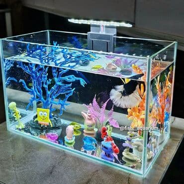 Вариант бюджетного аквариума🐬 в комплект входит: Аквариум 5 литров