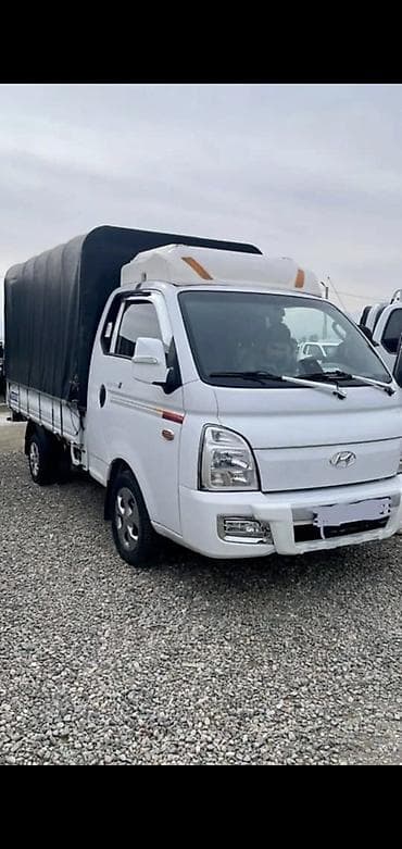 аренда трактор: Легкий грузовик, Hyundai, Стандарт, Новый — 1