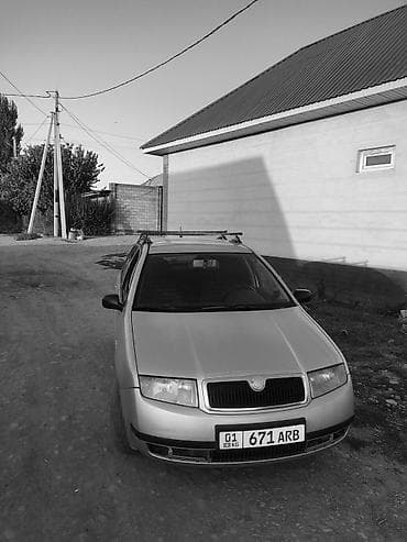 step rf3: Skoda Fabia 2: 2001 г., 1.5 л, Автомат, Бензин, Хэтчбэк — 10