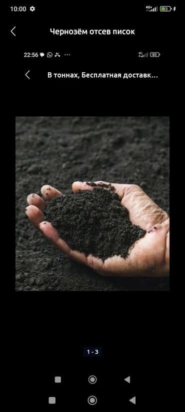 Чернозём, отсев, песок — навалом в тоннах. - Плодородный чернозём