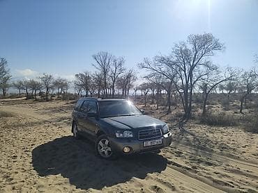 авто рекстон: Subaru Forester: 2004 г., 2 л, Ручные, Бензин, Универсал — 1