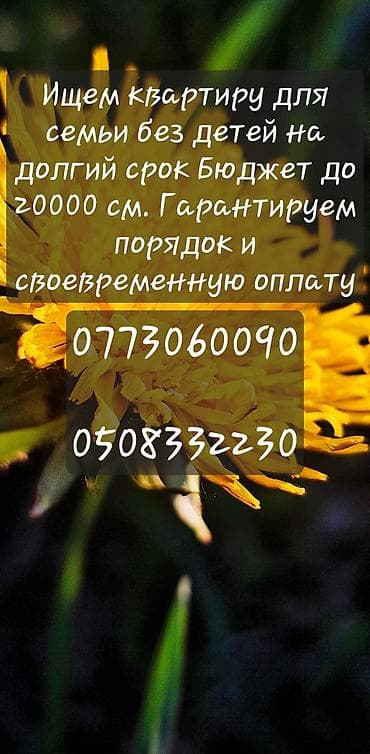 Недвижимость: Ищем квартиру для семьи без детей на долгий срок. Бюджет до 20 000 — 3