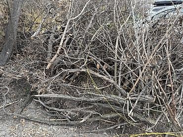 уголок каракол: Дрова Самовывоз — 3