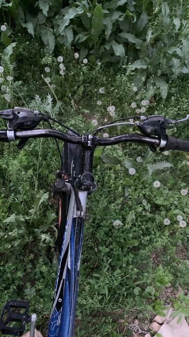 Музыкальные инструменты: Городской велосипед, Рама L (172 - 185 см), Б/у — 2