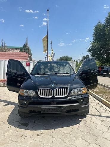 w210 e320: BMW X5: 2005 г., 4.6 л, Автомат, Бензин, Внедорожник — 2