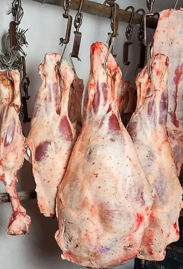 Вакансиялар: Требуеться мясник в кулинарии!!! с опытом работы! зарплата 2 раза в — 1