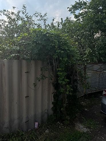 домо: Продается дом Беш-Кунгей 3комнат 5сотых — 3