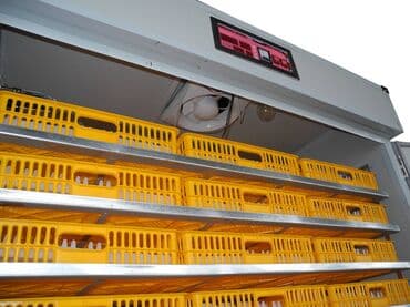 продажа кормов для сельскохозяйственных животных: Выводные Ящики для инкубатора в Кыргызстане (Бишкек ) Магазин Bigfarm — 4