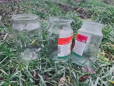 тара для меда купить: Продаю Б/У банки для консервирования 50+ штук. Вместимость 0,5 литр — 3