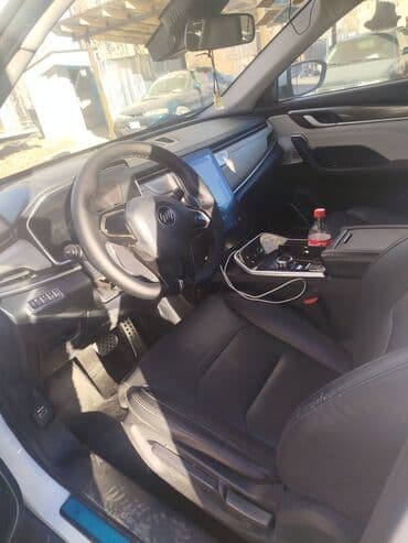 наклейка на авто: Weltmeister EX5, 2021 г., 52000 км, Передний, В наличии — 5