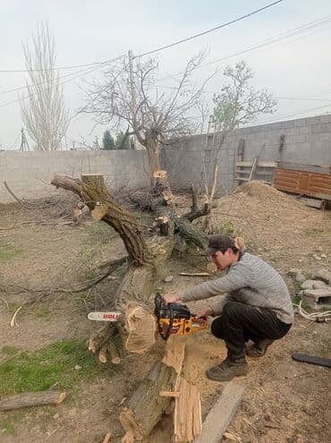 цены на строительные работы в бишкеке 2022: Услуги арбориста обследование дерева и экспертная оценка его — 9