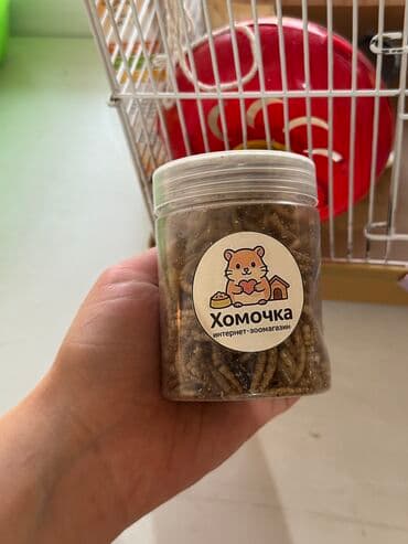 кукольные домики на заказ: Все для хомячка там 2 домика, но я их соединила и сделала 4 этажа — 8