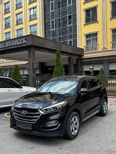 Hyundai Tucson: 2017 г., 2 л, Автомат, Бензин, Кроссовер