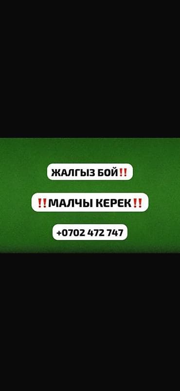 Малчы керек! Кой бакканга туруктуу узак убакытка жакшы шартта жумуш